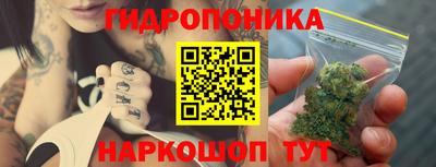 молекула духа Гагарин